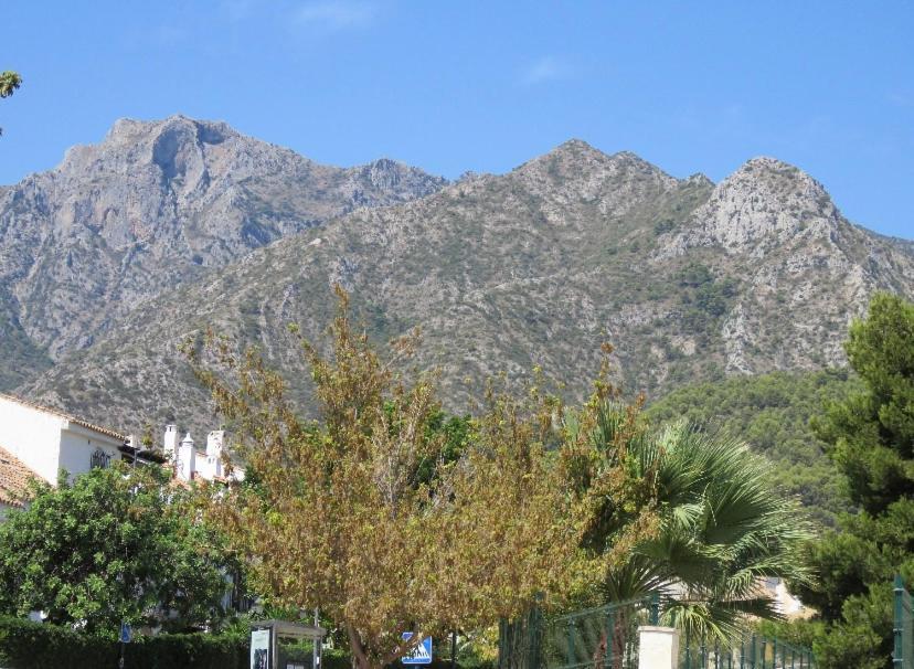 Apartamento Bien Situado En ماربيا المظهر الخارجي الصورة